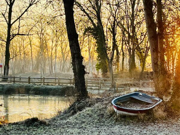 Magali - Les facettes de ma motivation